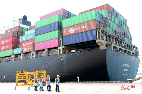 5月份山東外貿進出口創歷史新高，貨物貿易表現強勁