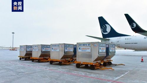 新疆首條定期國際貨運航線正式通航，年貨運吞吐量預計達3000噸