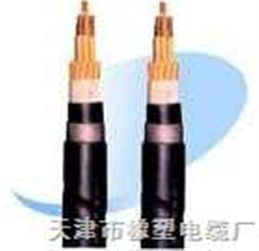 RVZ與RVZ電力電纜 規格、特點與應用全解析