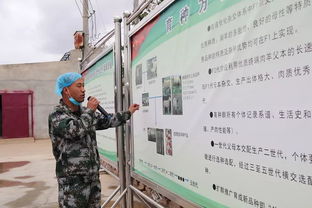 科技賦能，服務(wù)引領(lǐng) 技術(shù)推廣在脫貧攻堅與農(nóng)民增收中的核心作用